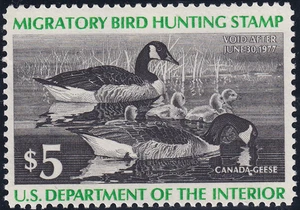 US Scott #RW43, F/VF, como nuevo, original, nunca montado, ¡100 % sonido! SCV $8,25. - Imagen 1 de 1