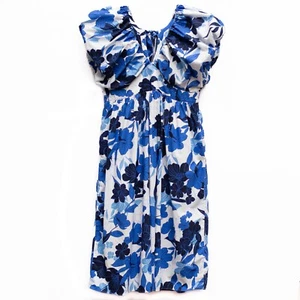 J Crew Cecily Dress 22 in Painted Floral Blue Maxi Boho Dreamy Puff Sleeves Long - Picture 1 of 12