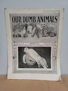 Our Dumb Animals March 1918 Carrier Pigeon MSPCA ASPCA Pets - Picture 1 of 3