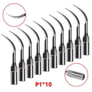 10 Stück P1 Spitzeneinsätze für EMS Ultraschall Ablator Woodpecker Scaler Griff - Bild 1 von 10