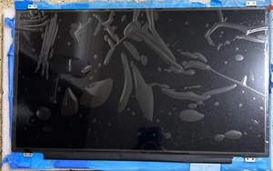 17.3" 300Hz for Dell Alienware m17 R3 P45E P45E001 LED LCD Screen Replacement - Afbeelding 1 van 4