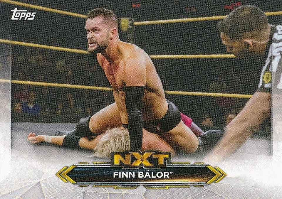 NXT-18 FINN BALOR 2020 Topps WWE NXT ROSTER CARD - Image 1 of 1
