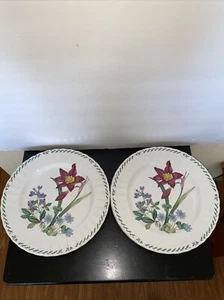 Mikasa Summer Symphony Dinner Plate 10 3/4" CAJ14 Maxima Floral Set Of 4 NEW - Picture 1 of 12