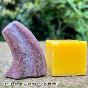 Authentic theropod dinosaur claw fossil (undescribed) cretaceous tiouraren - Picture 1 of 1