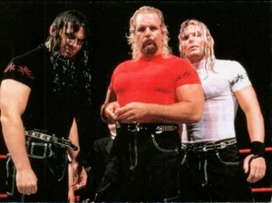1999 Comic Images WWF SmackDown Wrestling Card #30 The Hardy Boyz Novato RC 🙂 - Imagen 1 de 2