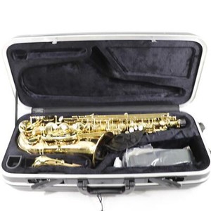 Antigua Winds Model AS4248RLQ 'Powerbell' Alto Saxophone BRAND NEW! CLOSEOUT!