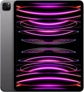 Apple iPad Pro 6ta Generación 12.9 pulgadas Wi-Fi + 5G Celular Desbloqueado 2 TB A2437 - Gris espacial - Imagen 1 de 5