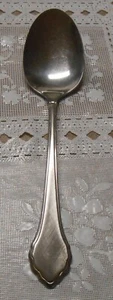 Wm A Rogers/Oneida SUMMERMIST/AUTUMN GLOW Stainless *** (1) Serving Spoon *** - Picture 1 of 3