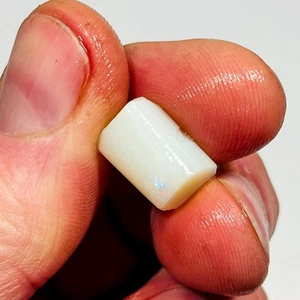 Lightning Ridge Natural Opal Rough Rub Green Fire 6.80 carats 14x9mm Eo-1444 - Picture 1 of 6