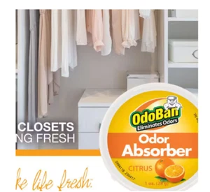 OdoBan 1 oz. Citrus fester Geruchsabsorber, Geruchsbeseitiger für Rauchgeruch & muffig - Bild 1 von 2