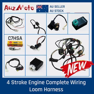 Full Wiring Loom Harness Coil CDI Spark Plug Dirt Bike Atomik Thumpstar Pitpro - Picture 1 of 10