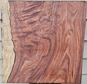 Figur Cocobolo Schüssel Rohling (Dalbergia retusa) 11 3/8" x 11 15/32" x 3 3/4" - Bild 1 von 6