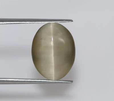 CERTIFIED Natural Greenish Gray Cat’s Eye Chrysoberyl 7.84 Ct Loose Gemstone - Image 1 of 4