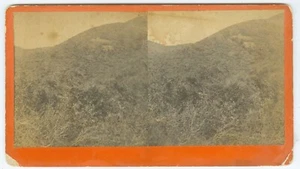 D0280 ~ ARIZONA - J. C. Burgess Vistas de Arizona Paisaje Vista estéreo [Raro] - Imagen 1 de 2