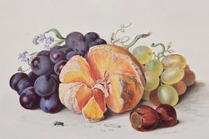 Antique Watercolour - Fruit and flowers still life - by Theude Grönland - 1840s - Picture 1 of 4
