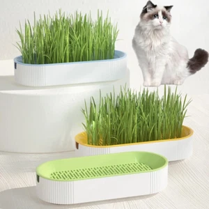 Hydroponic Cat Grass Box Cat Treats Catnip Hydroponic Soilless Planting Cat - Picture 1 of 9