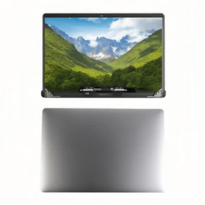 Space Gray LCD Display Screen For Macbook Pro A1990 15" 2018-2019 EMC3215 3359 - Picture 1 of 9