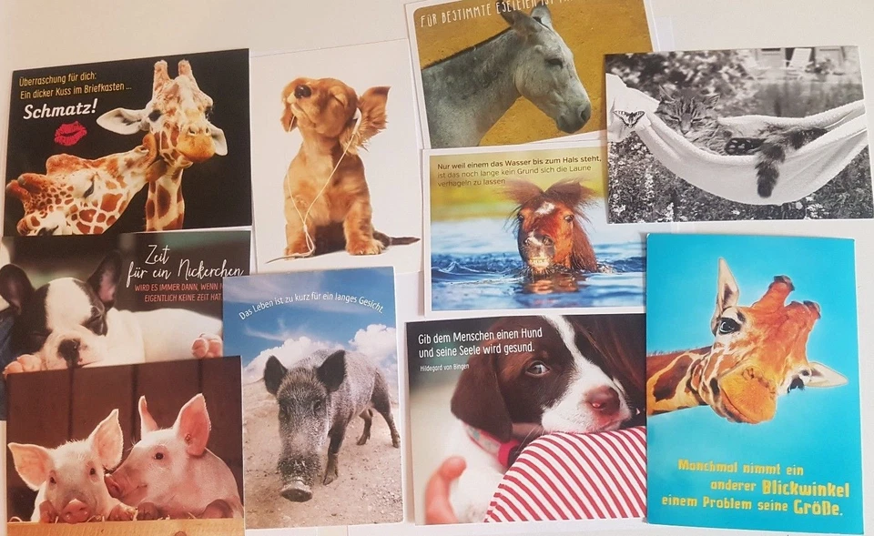 Tier Motiv Karten Postkarten Sprüche Spaß witzige Nachdenklich Grüße Grußkarten - Bild 1 von 1