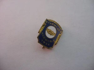 Antigua ARMONÍA VINTAGE 1931 ORIGINARIA.GES. Premio Pin Agitador de Manos Esmalte Azul - Imagen 1 de 6