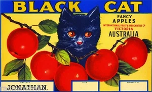 Victoria Australia Black Cat Kitten Apple Fruit Crate Label Art Print - Picture 1 of 1