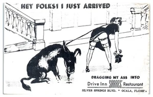 Humor Dancer Dragging her Ass Donkey Sarre's Drive Inn Ocala Florida Postcard C1 - Picture 1 of 2