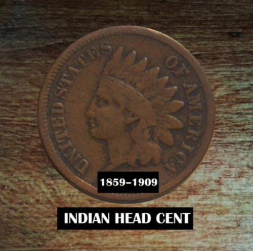 Indian Head Penny Lot - 10 Coin Grab bag 1859 - 1909