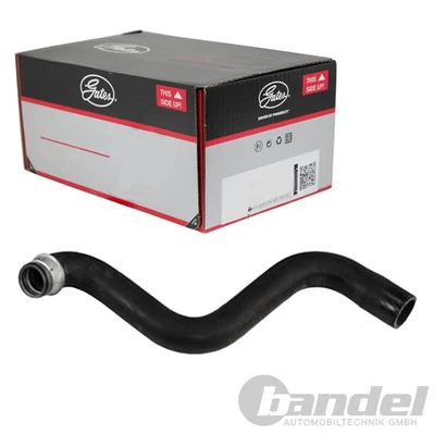 GATES Manguera Agua Fría Superior Apto para Citroën Evasion Jumpy Fiat Scudo - Imagen 1 de 2