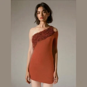 Arden B Vintage Rust Orange One Shoulder Cold Shoulder Ruched Mini Dress Small - Picture 1 of 11