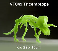 Triceraptor Skelett nachtleuchtend Schnellbausatz EDU-Toys 