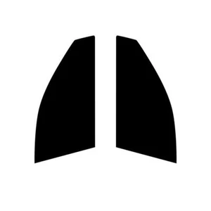 Vorgeschnittene Autoscheibentönung für Lexus GS 4-Türer Limousine 2001-05 Frontscheibenfolie - Bild 1 von 10