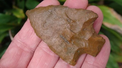 2 1/2 英寸 LEVY 南乔治亚州深箭头 ~ 1 ~ — 第 1/2 张图片