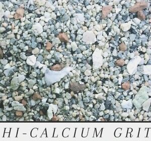 Hi Calcium Grit & Oyster Shells for Birds & Chickens BULK ***Choose Size***
