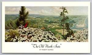 Postkarte: Der alte Nordstaat, Robert G. Doares, North Carolina, 1976, unverpostet - Bild 1 von 2