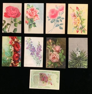 Cartoline d'epoca - 1900 - (9) Botaniche - Foto 1 di 5