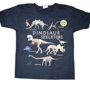 Dinosaur Skeleton - Picture 1 of 5