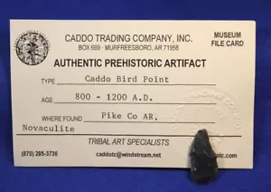 Caddo Bird Point Authentic Prehistoric Artifact Arrowhead - Picture 1 of 4