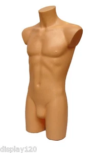 ROPA DEPORTIVA DE ALTA CALIDAD HOMBRE MANIQUÍ TORSO FORMA CUERPO EXHIBICIÓN BUSTO CARNE/PIEL - Imagen 1 de 2