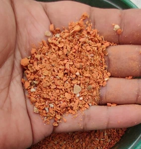 Italian Red Coral Powder Gemstone Natural Sea Coral Soil Dust 100"Gram One Lot - Picture 1 of 5