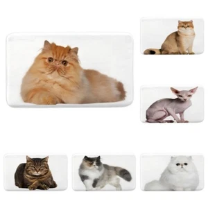 Cute Cat Mat Soft Foam for Bath Indoor Absorbent Kitchen Rugs Washable Mats - Picture 1 of 13