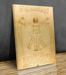 Uomo Vitruviano Leonardo da Vinci stampa tela arte parete incorniciata o solo stampa - Foto 1 di 8