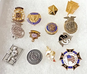 Vintage 13-teiliges Sammler-Pin-Set: Bruderschaft, Firmen, Orgs; Amway, Chrysler, Verschiedenes - Bild 1 von 4