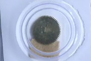 Rolex 3135-305 Rochet Ratchet wheel Rocchetto NEW - Bild 1 von 2