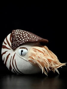 Carino Bellissimo Peluche 20X18X9Cm Nautilus Camerato Nautilus Nautiloidea Modello Se - Foto 1 di 13