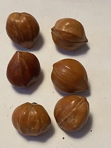 6 Novelty Acorn Buttons - Picture 1 of 8