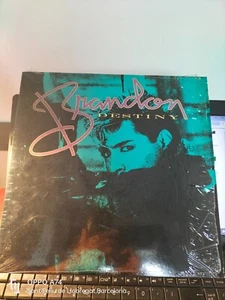 RAR MAXI 12". BRANDON. DESTINY. 3 TRACKS. ITALO DISCO - Imagen 1 de 2