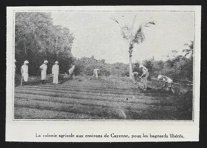 1926 -- GUYANE PRES CAYENNE COLONIE AGRICOLE POUR BAGNARDS LIBERES . 3U690 - Picture 1 of 1