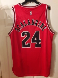 Brian Scalabrine SIGNED CHICAGO BULLS JERSEY W 2X ROTY INSCRIPTION PSA/DNA XL - Picture 1 of 9