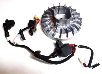 Predator 2000 Watt Inverter Generator Powerhorse Flywheel and Coil - OEM 2023 - Image 1 of 3