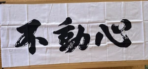 Kendo Tenugui Face Towel  Head Towel Kanji Fudoshin Immovable Spirit - Picture 1 of 5
