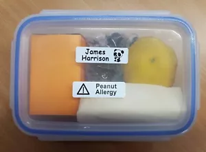 25 Stick-on name labels - ideal for lunchboxes and shoes - Picture 1 of 8